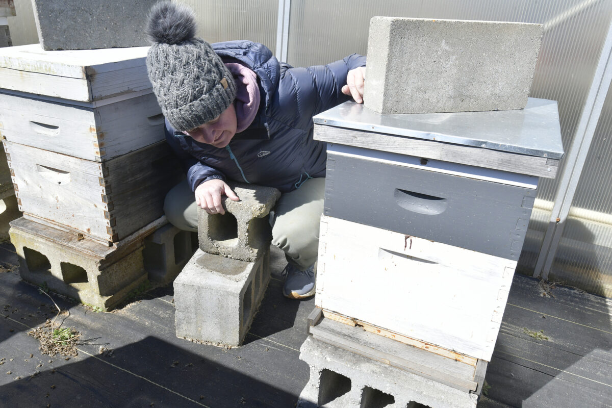 Jennifer Dupree, owner of the Milk Pail and nearly 70 acres of farmland in Bridgehampton with her hives.  DANA SHAW