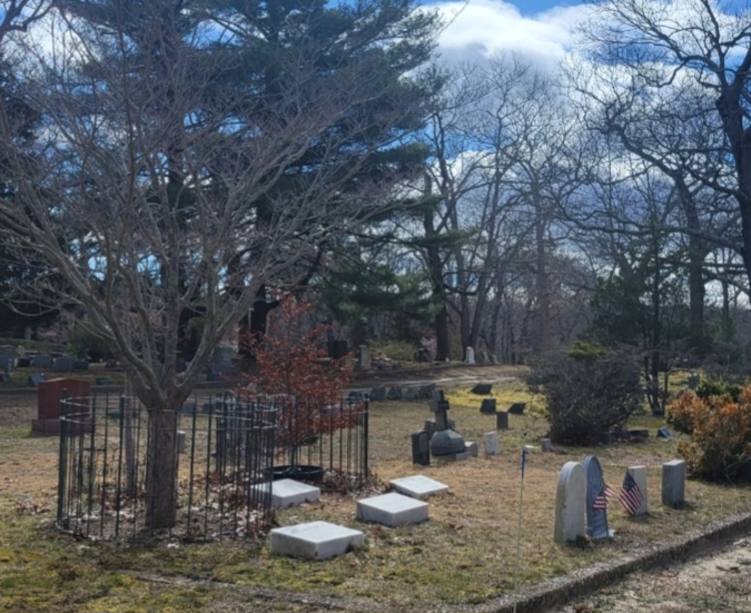 A cherry tree planted on top of a grave in Oakland Cemetery. Planting a tree in memory of a loved one honors them and sequesters carbon. JENNY NOBLE