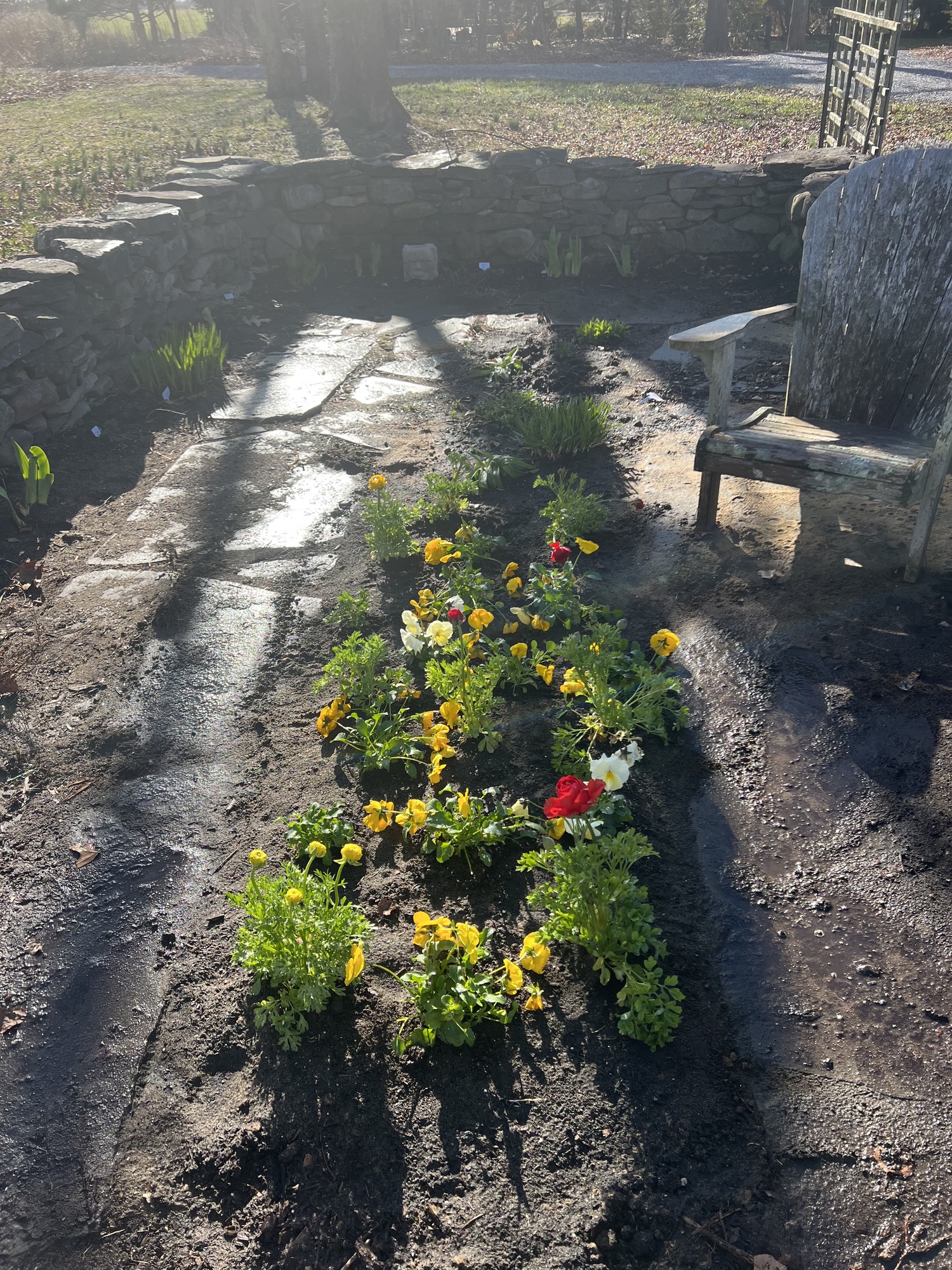 Instead of one's death being a toxic event, naturally returning the body to the earth in a simple burial shroud nourishes flowers that attract pollinators. Greener choices such as home burials and sanctioned forest burials are becoming more popular. JENNY NOBLE