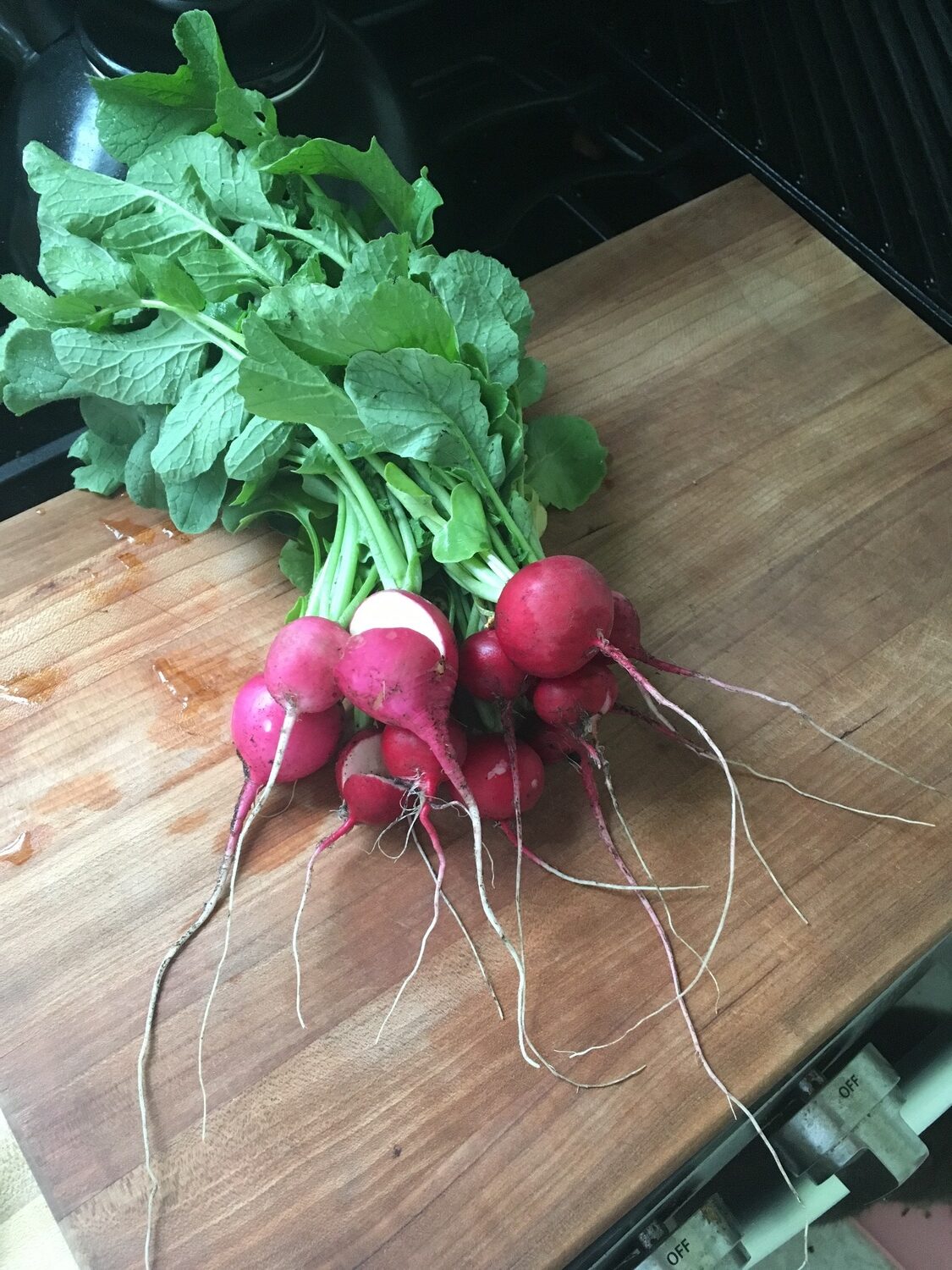 Radishes. BRENDAN J. O'REILLY