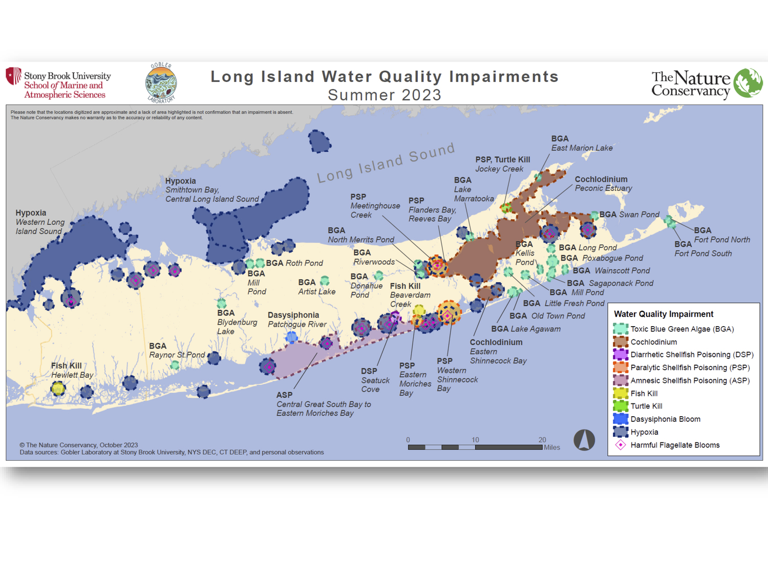 More than two dozen tidal and freshwater bodies on Long Island were stained by harmful algae blooms or starved of oxygen, leading to die-offs of marine species, in 2023.