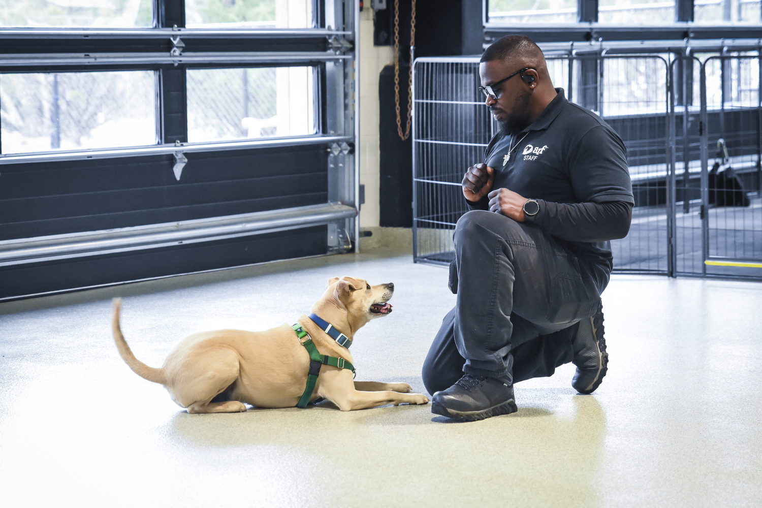 ARF’s Frank Hanna works with Leo.         Kristin L. Gray Photography