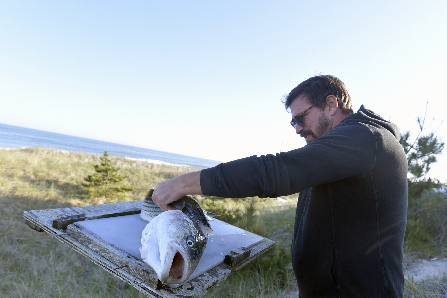 Orson Frisbie fillets a striped bass for dinner on the beach.    DANA SHAW