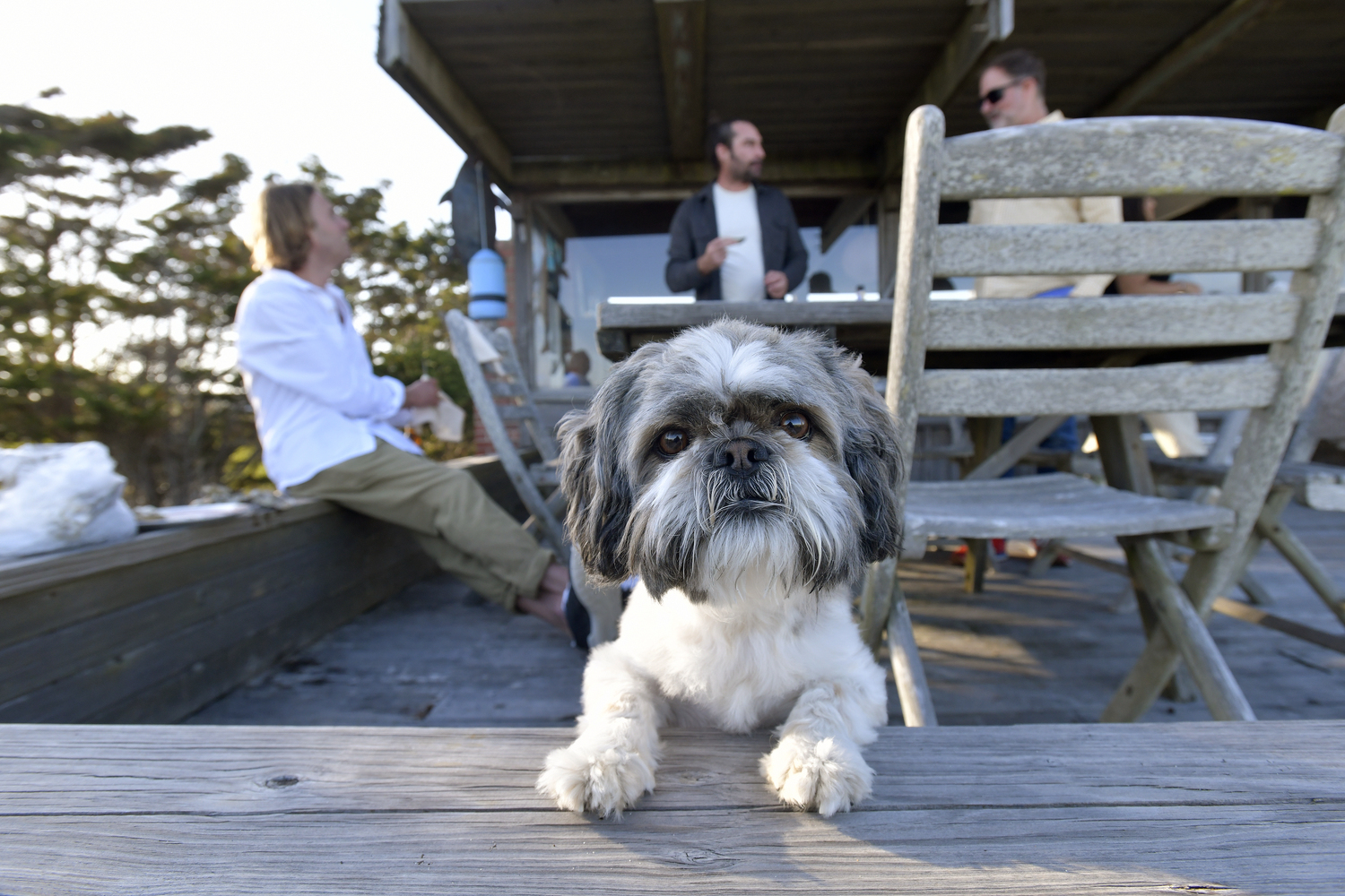 Family, friends at pets enjoy an evening on the back deck.