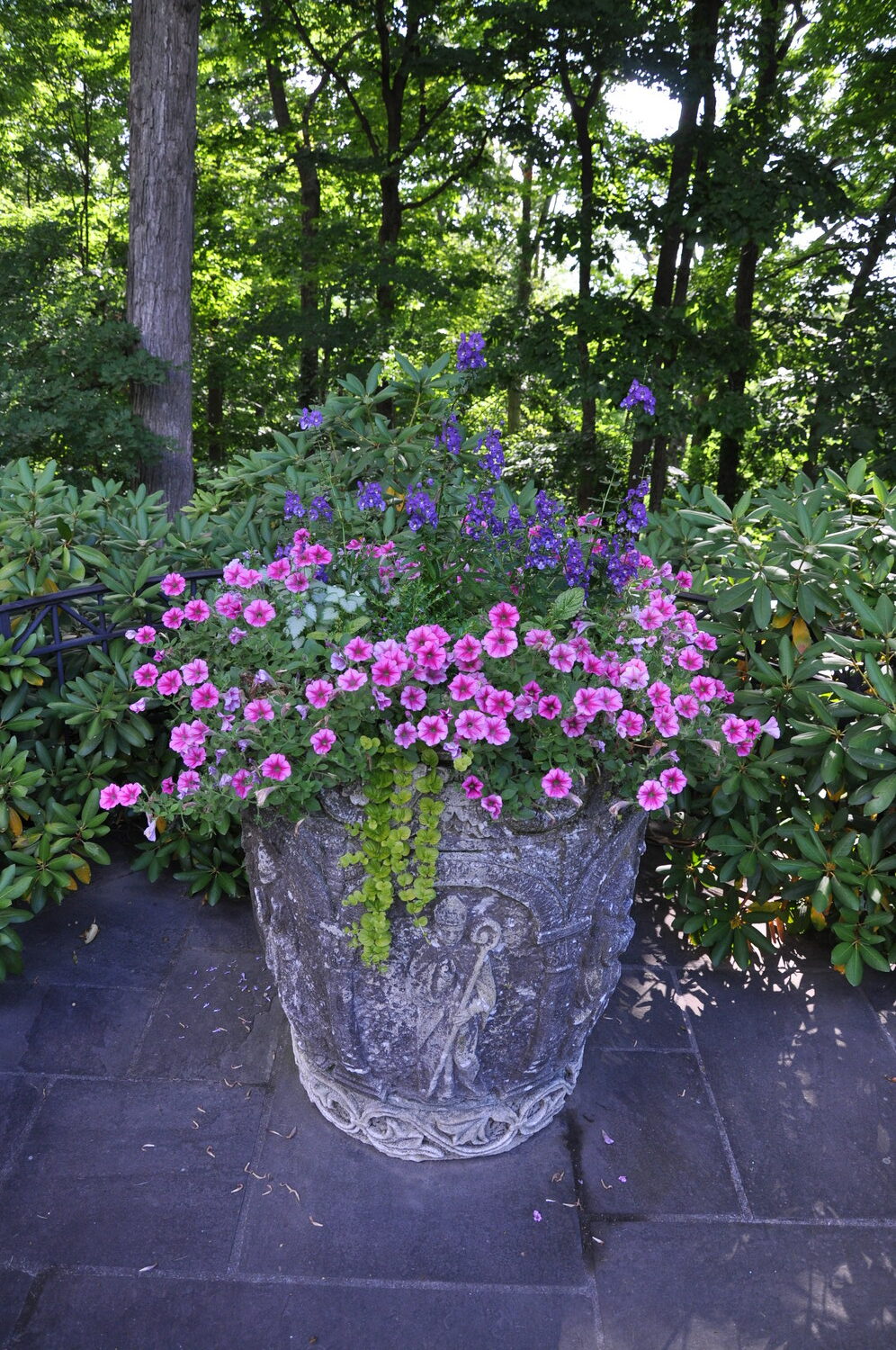 This is an antique cast concrete pot (container) that’s about 4 feet tall. The pot weighs over 250 pounds empty. Eighty percent of the interior is filled with wood chips since the annuals only need about 15 inches of soil in this shaded location. ANDREW MESSINGER