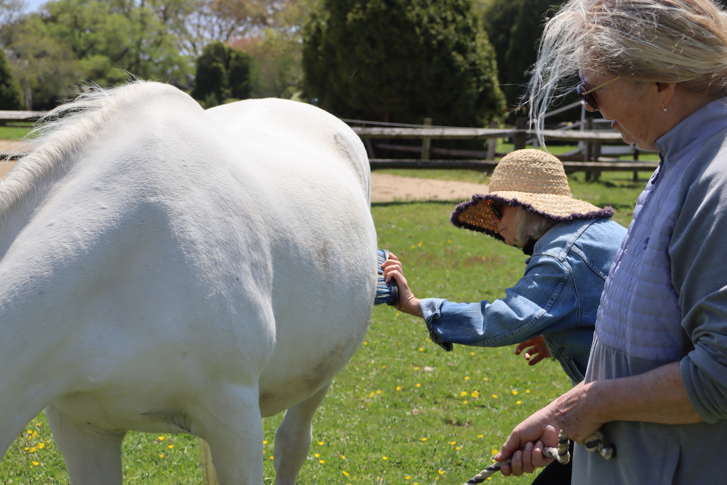 Volunteer Carla and client Lisa working with Noodles. CAILIN RILEY