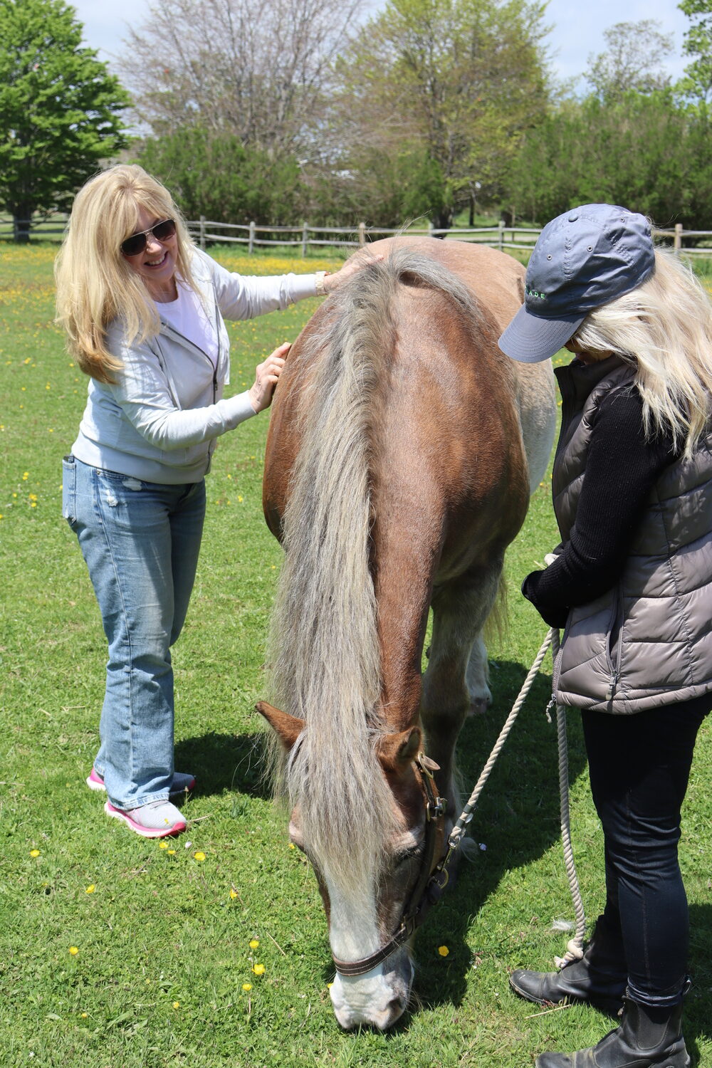 Volunteer Laura and client Marie working with Noodles. CAILIN RILEY