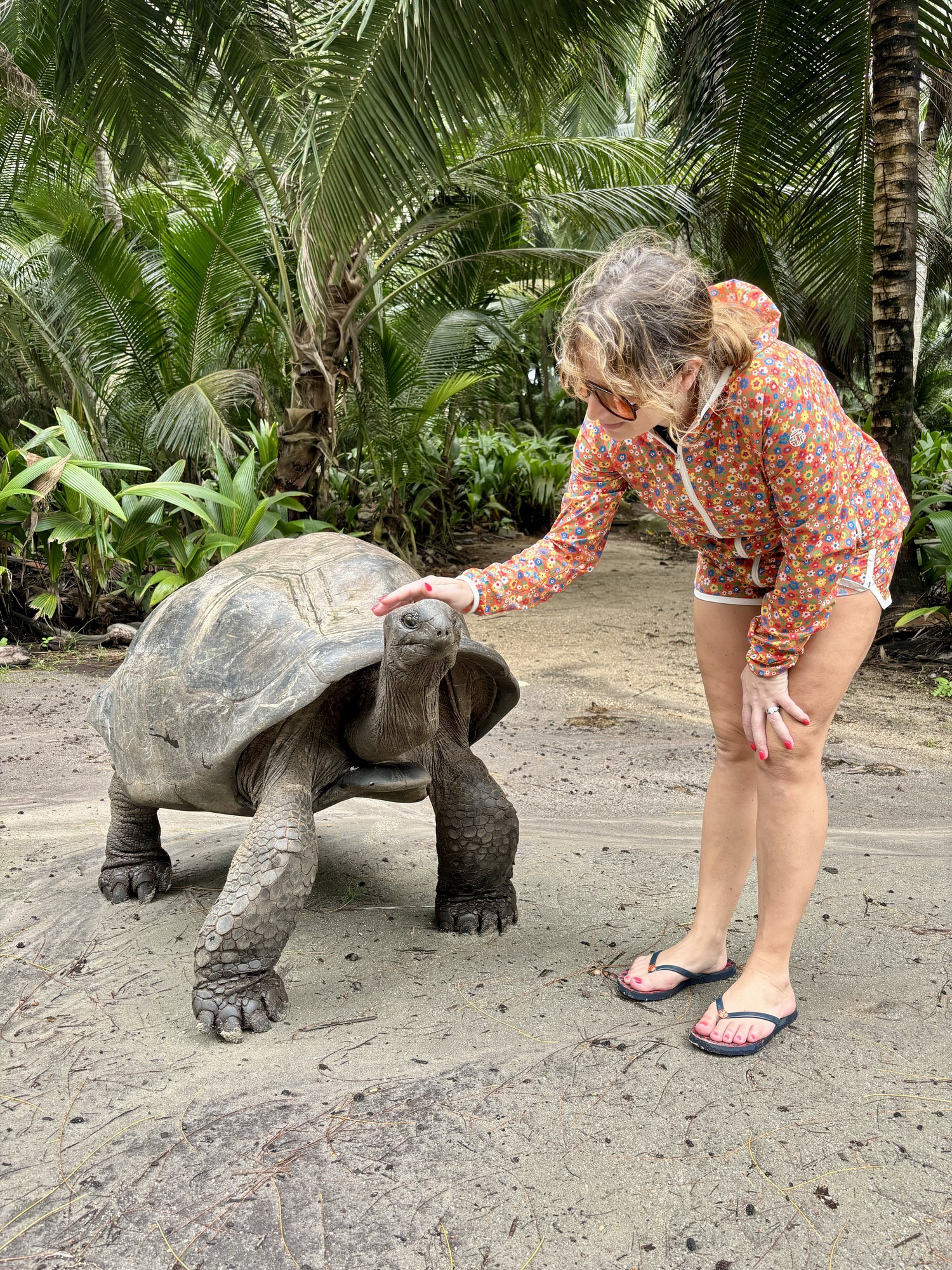 The author, visiting with a giant Toroise.