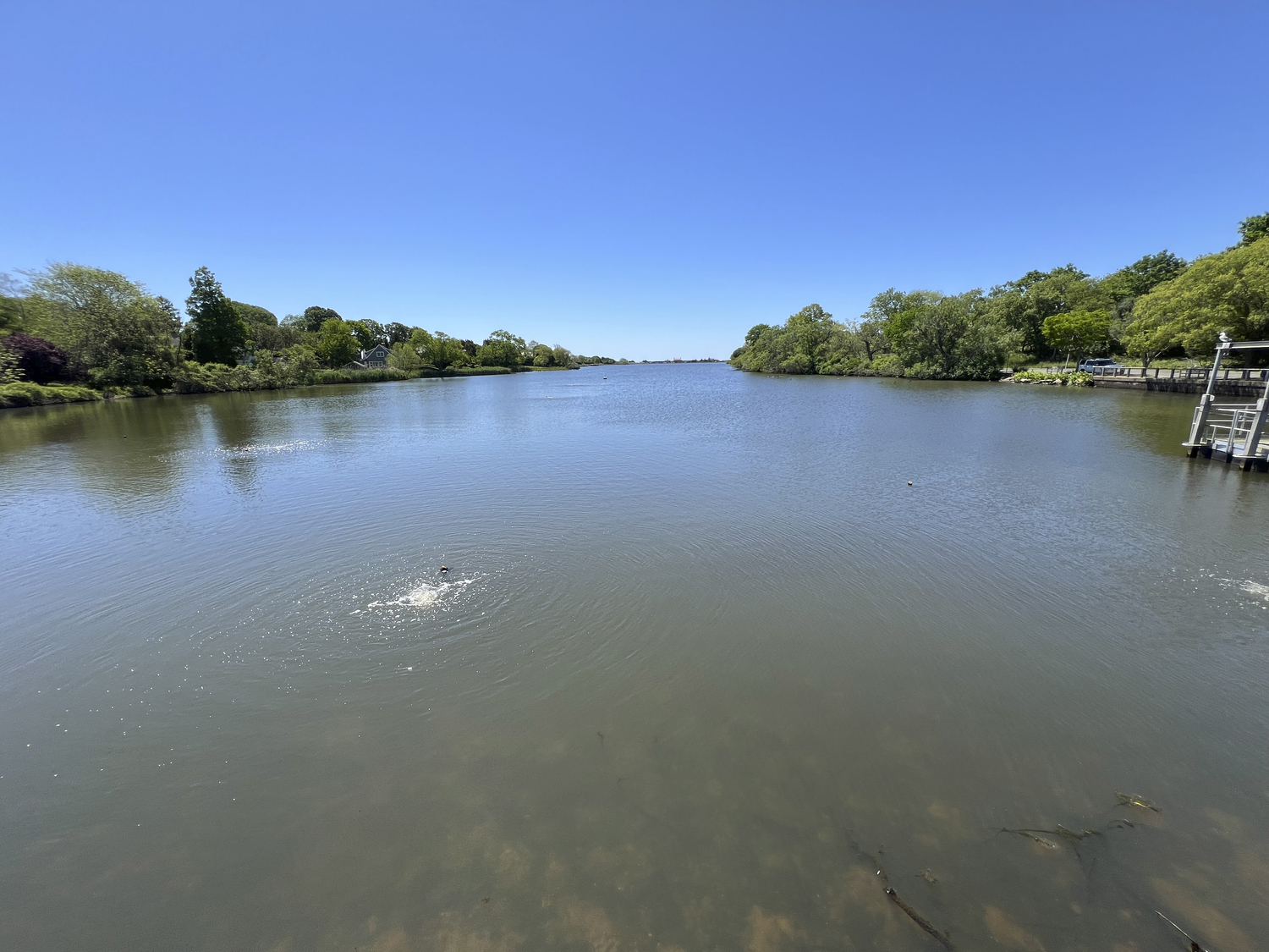 Lake Agawam in Southampton Village.  DANA SHAW